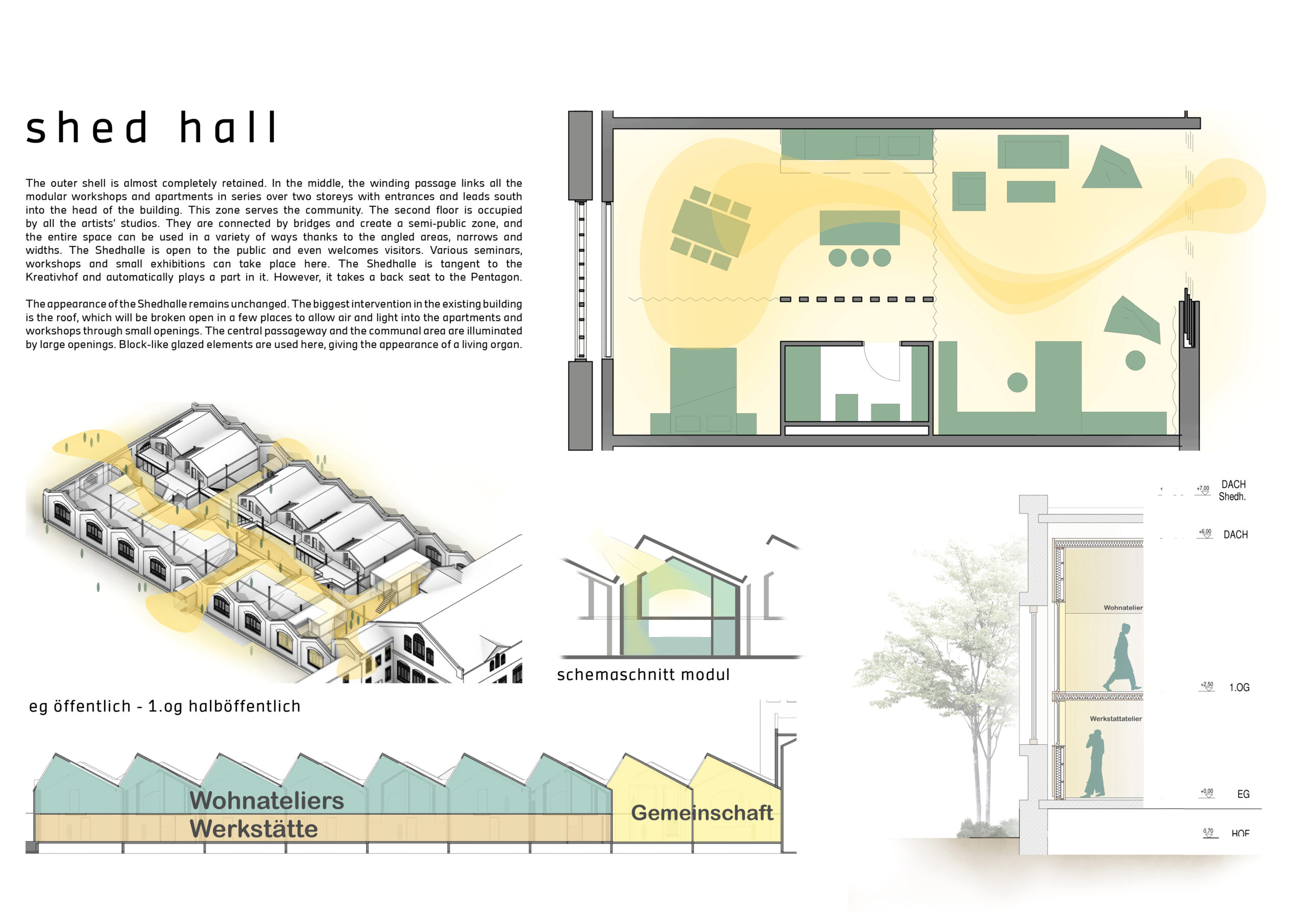 layout für websuite7